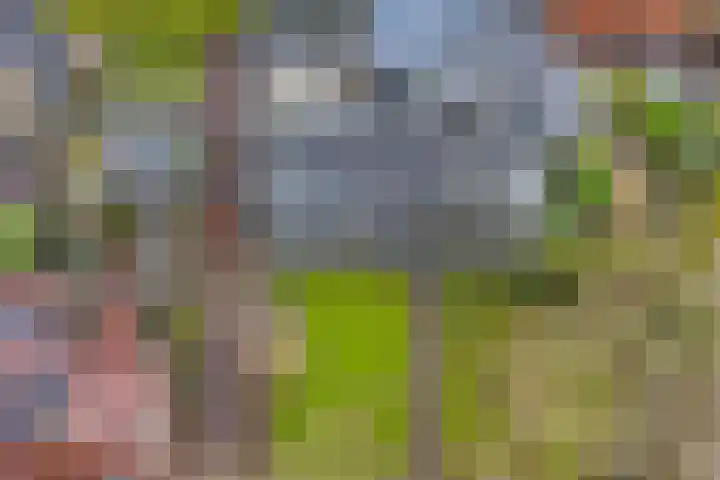 Hearewei 4 Dronryp thumbnail 47