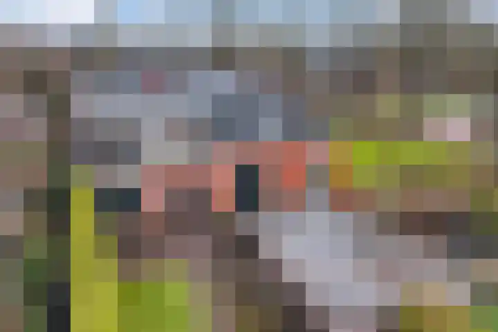 Hearewei 4 Dronryp thumbnail 48
