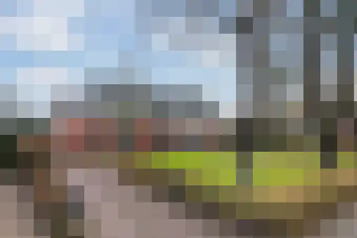 Hearewei 4 Dronryp thumbnail 49