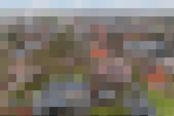 Hearewei 4 Dronryp thumbnail 51