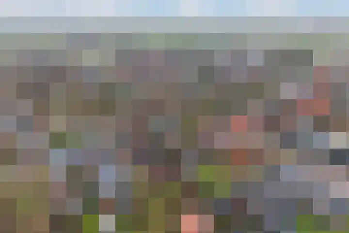 Hearewei 4 Dronryp thumbnail 52