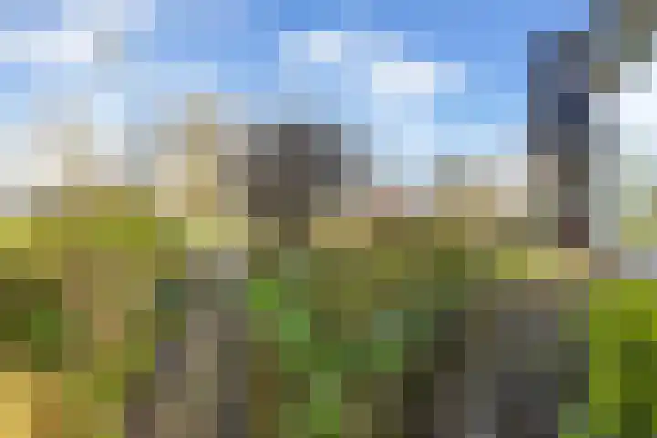 Hearewei 84 Dronryp thumbnail 11