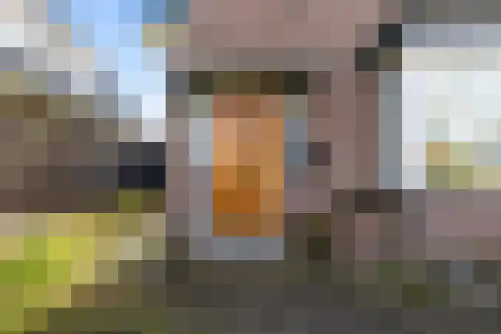 Hearewei 84 Dronryp thumbnail 12