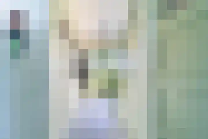 Hearewei 84 Dronryp thumbnail 13