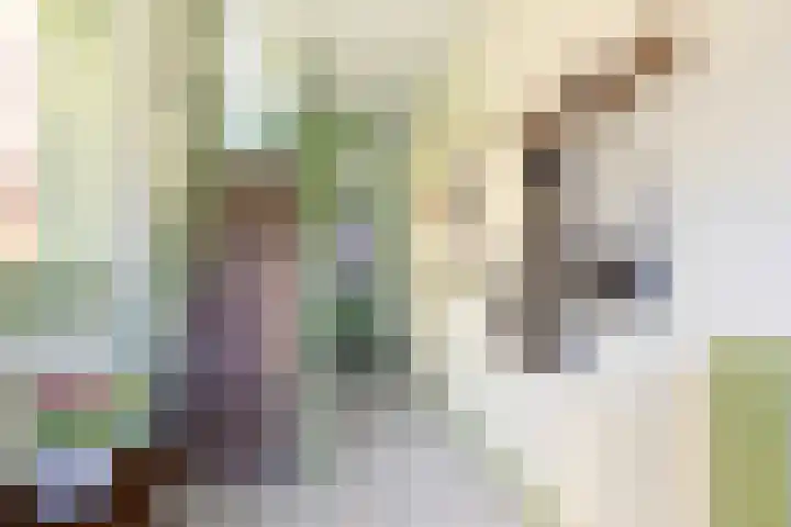 Hearewei 84 Dronryp thumbnail 14