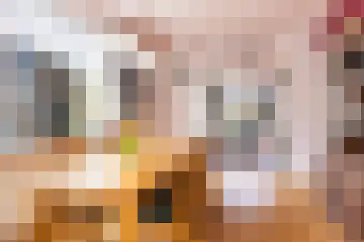 Hearewei 84 Dronryp thumbnail 16