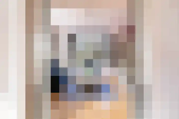 Hearewei 84 Dronryp thumbnail 19