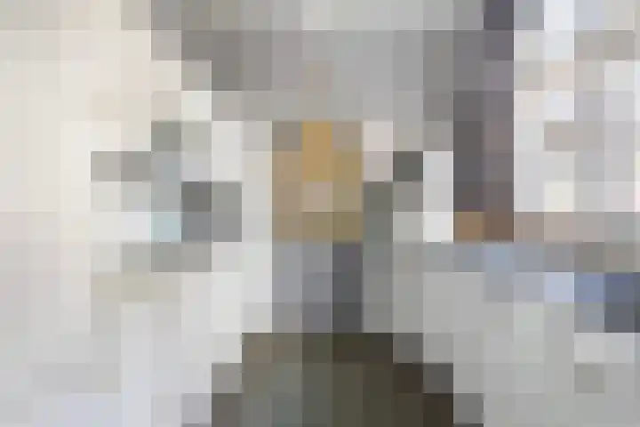 Hearewei 84 Dronryp thumbnail 26