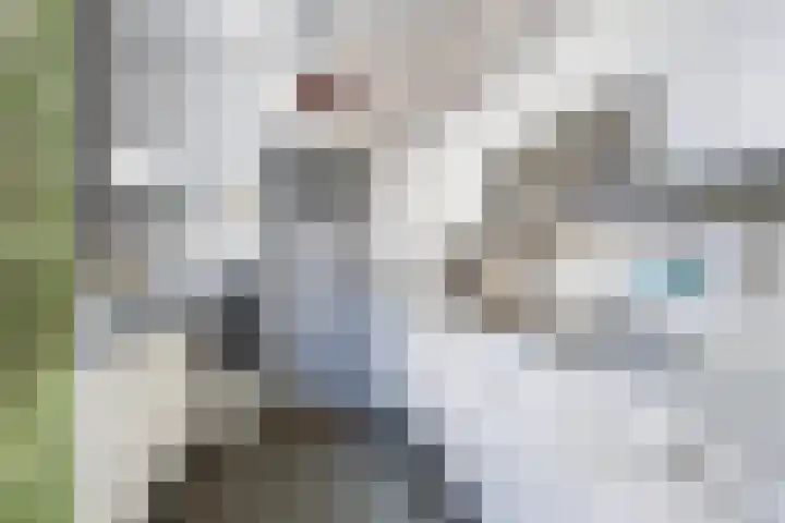 Hearewei 84 Dronryp thumbnail 27