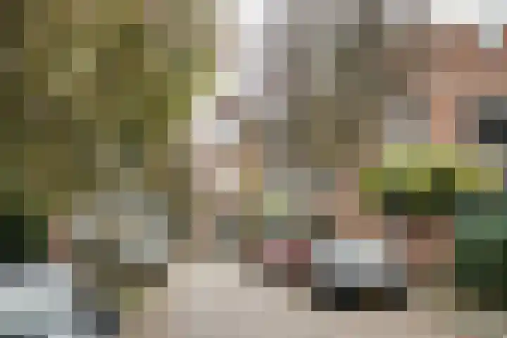 Hearewei 84 Dronryp thumbnail 28