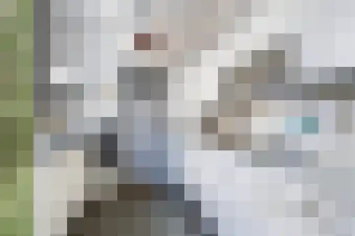 Hearewei 84 Dronryp foto 3