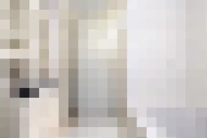 Hearewei 84 Dronryp thumbnail 30