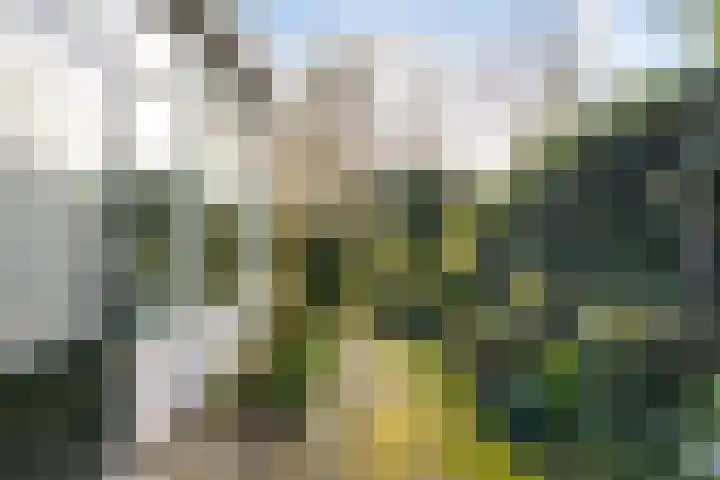 Hearewei 84 Dronryp thumbnail 33