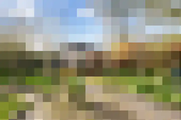 Hearewei 84 Dronryp thumbnail 35