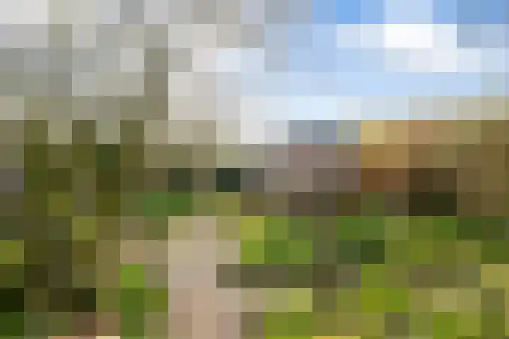 Hearewei 84 Dronryp thumbnail 38