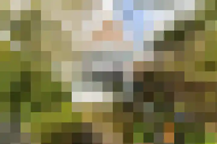 Hearewei 84 Dronryp thumbnail 39