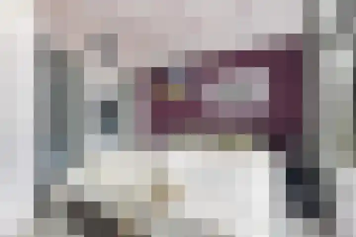 Hearewei 84 Dronryp thumbnail 4