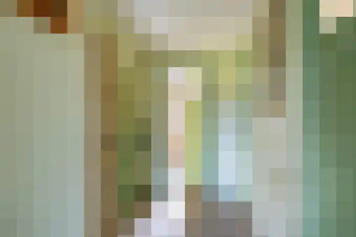 Hearewei 84 Dronryp thumbnail 41