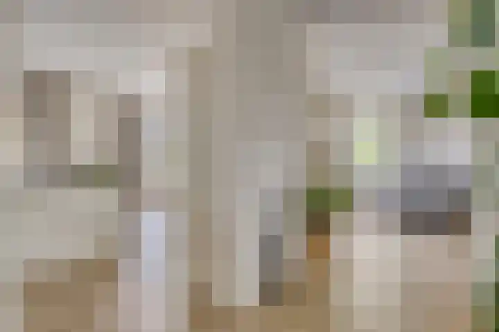 Hearewei 84 Dronryp thumbnail 46