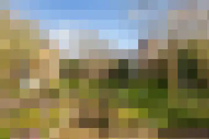 Hearewei 84 Dronryp thumbnail 5