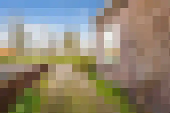 Hearewei 84 Dronryp thumbnail 50