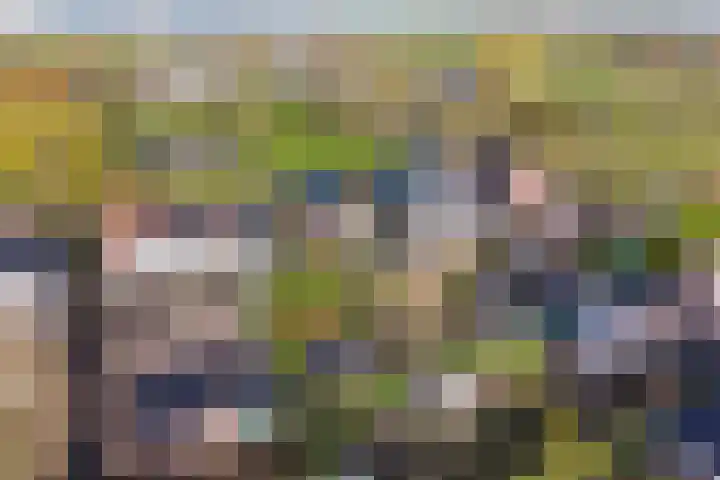Hearewei 84 Dronryp thumbnail 51