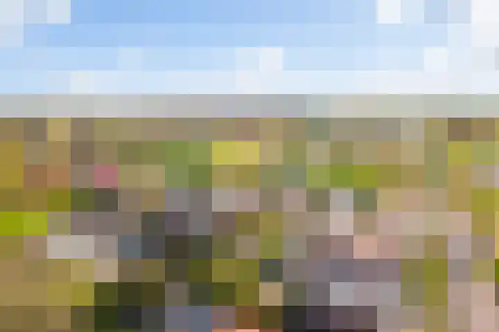 Hearewei 84 Dronryp thumbnail 52