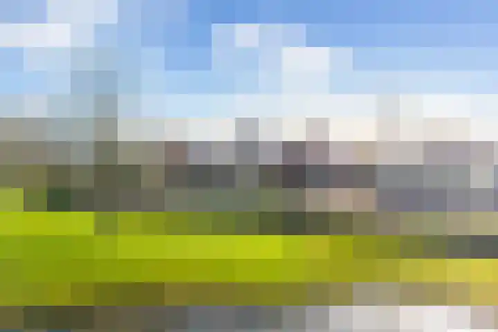 Hearewei 84 Dronryp thumbnail 6