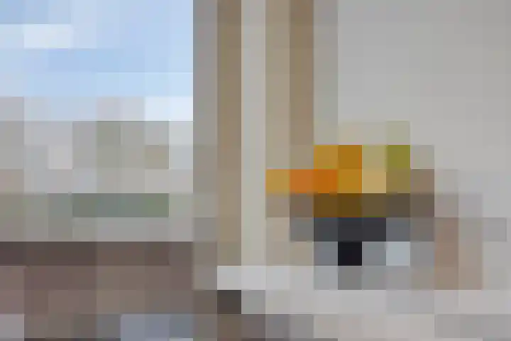 Hebriden 235 Zoetermeer thumbnail 20