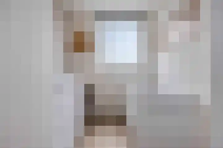 Hebriden 235 Zoetermeer thumbnail 26