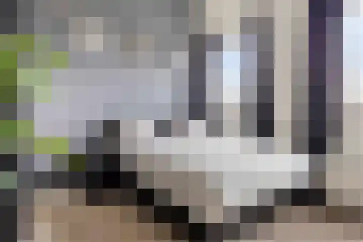 Hebriden 235 Zoetermeer thumbnail 27