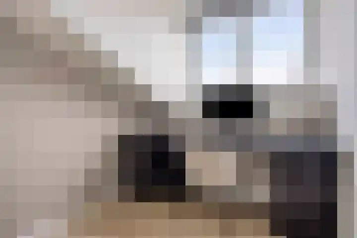 Hebriden 235 Zoetermeer thumbnail 31