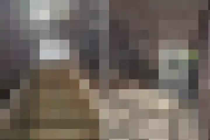 Hebriden 235 Zoetermeer thumbnail 6
