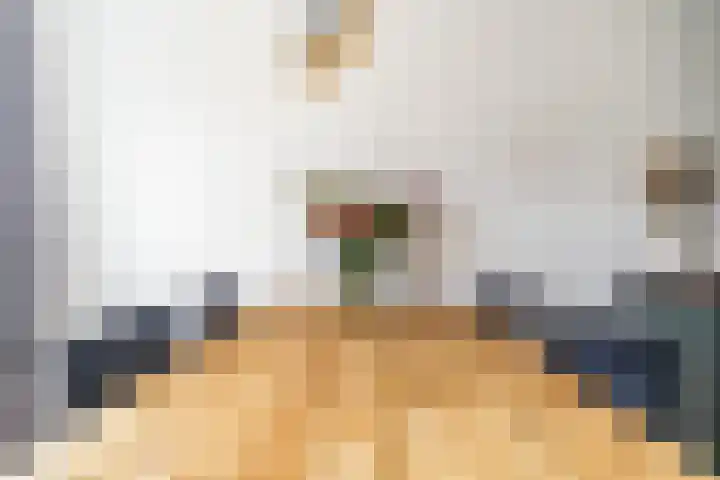 Hebriden 33 Zoetermeer thumbnail 11