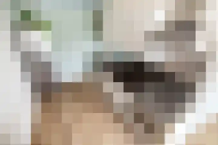 Hebriden 33 Zoetermeer thumbnail 14