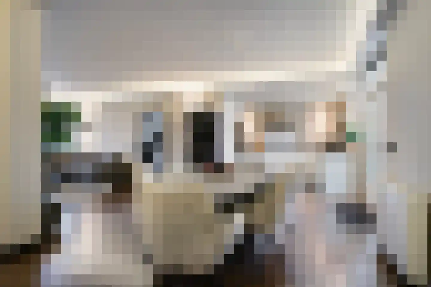 Hectorlaan 18 Eindhoven thumbnail 9