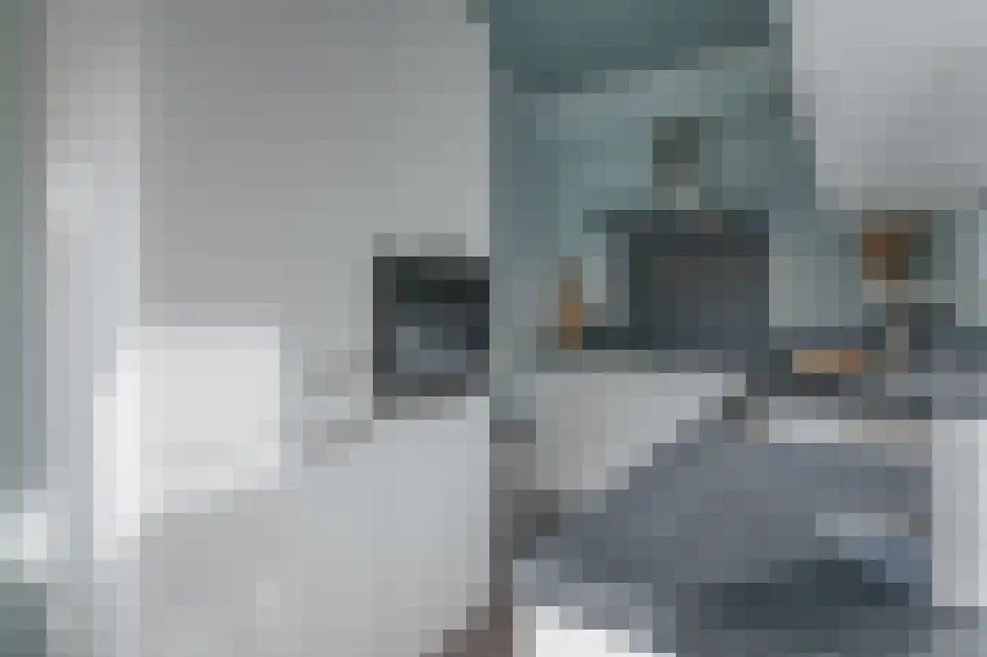 Heechfinne 4 Akkrum thumbnail 14