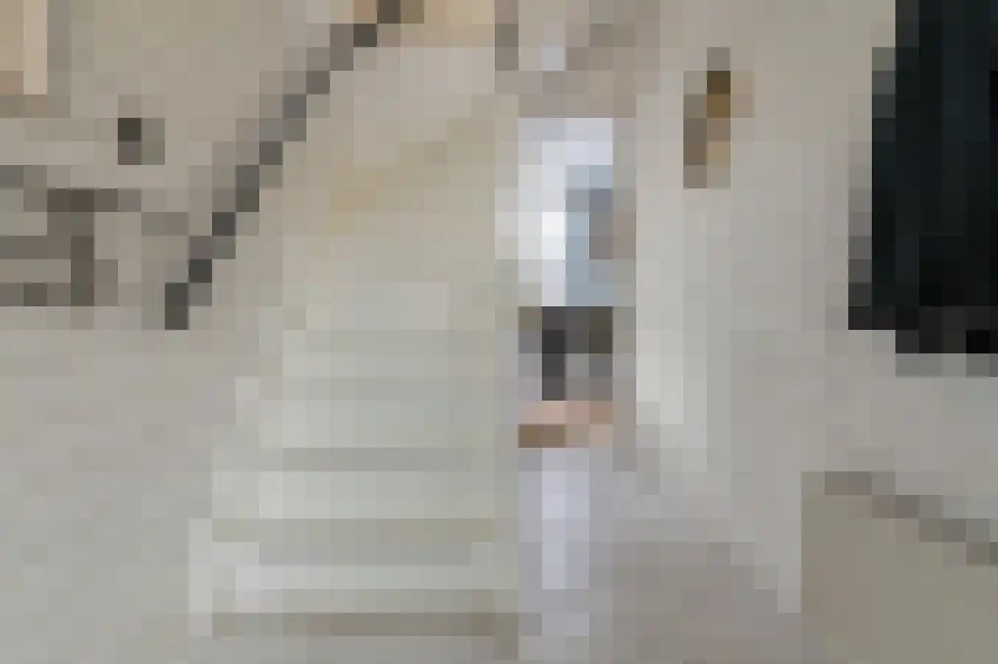 Heechfinne 4 Akkrum thumbnail 20