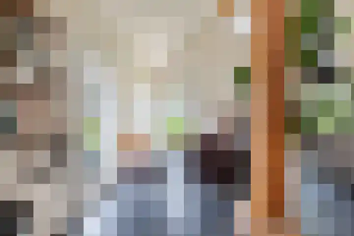 Heechfinne 4 Akkrum thumbnail 23