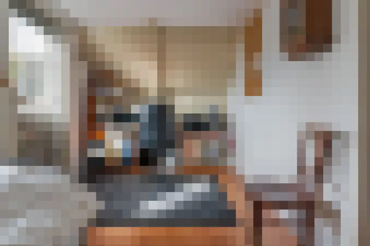 Heechfinne 4 Akkrum thumbnail 24