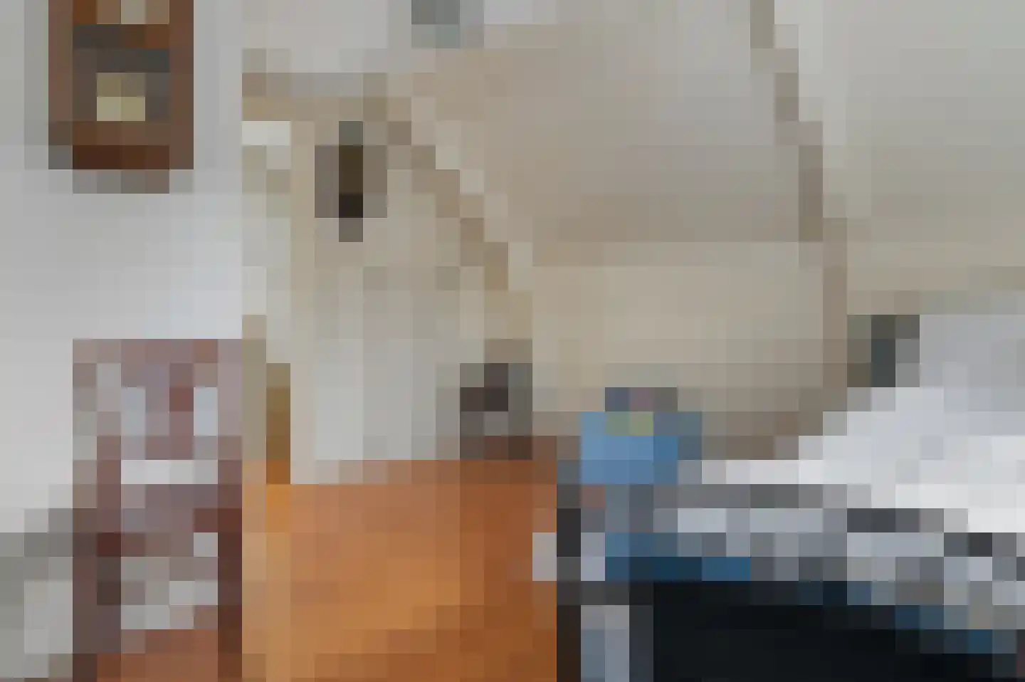 Heechfinne 4 Akkrum thumbnail 25