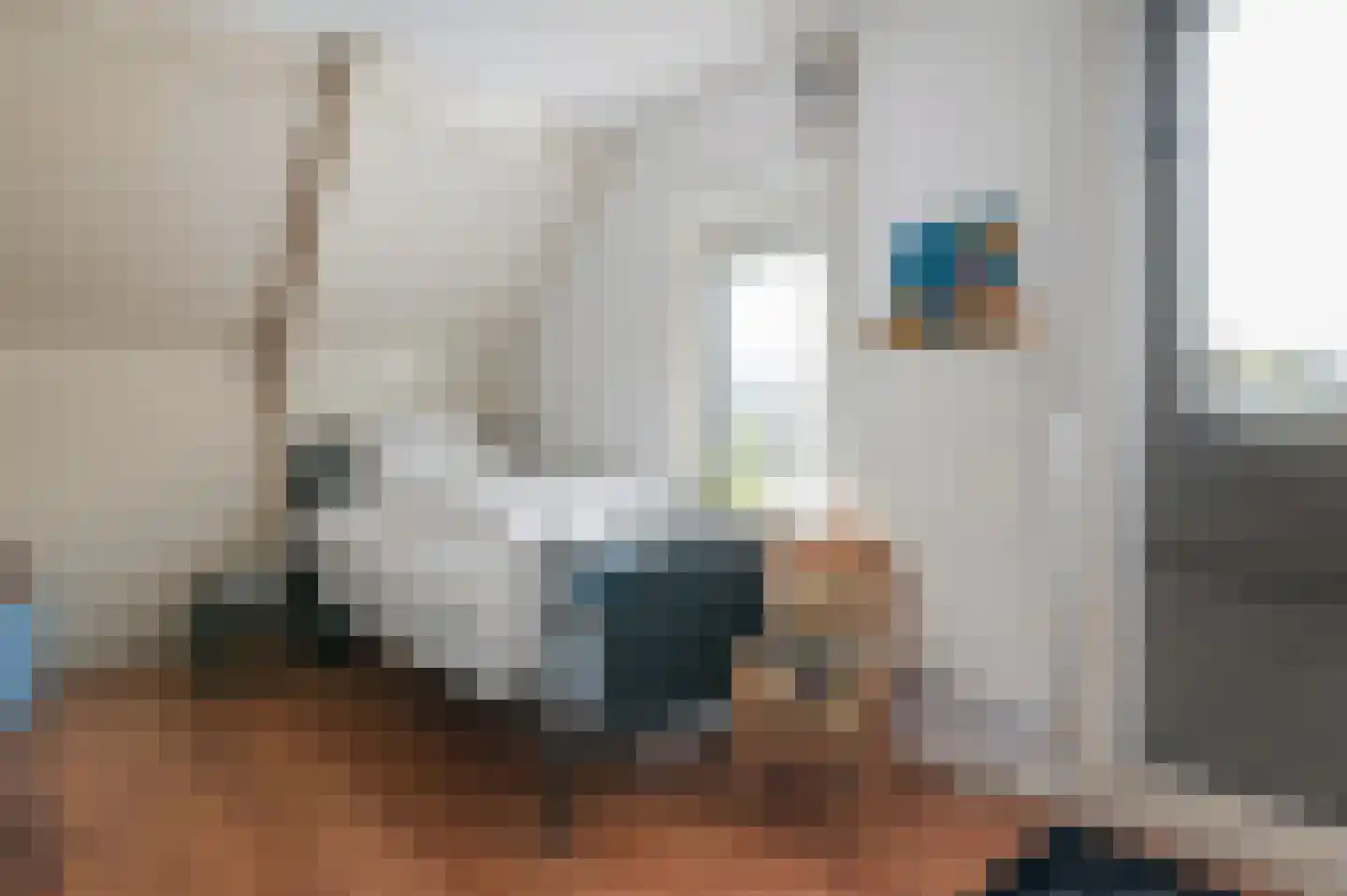 Heechfinne 4 Akkrum thumbnail 26