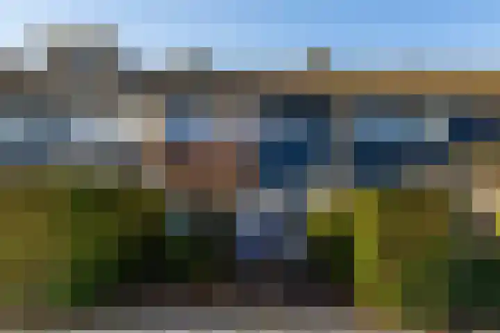 Heechfinne 4 Akkrum thumbnail 32