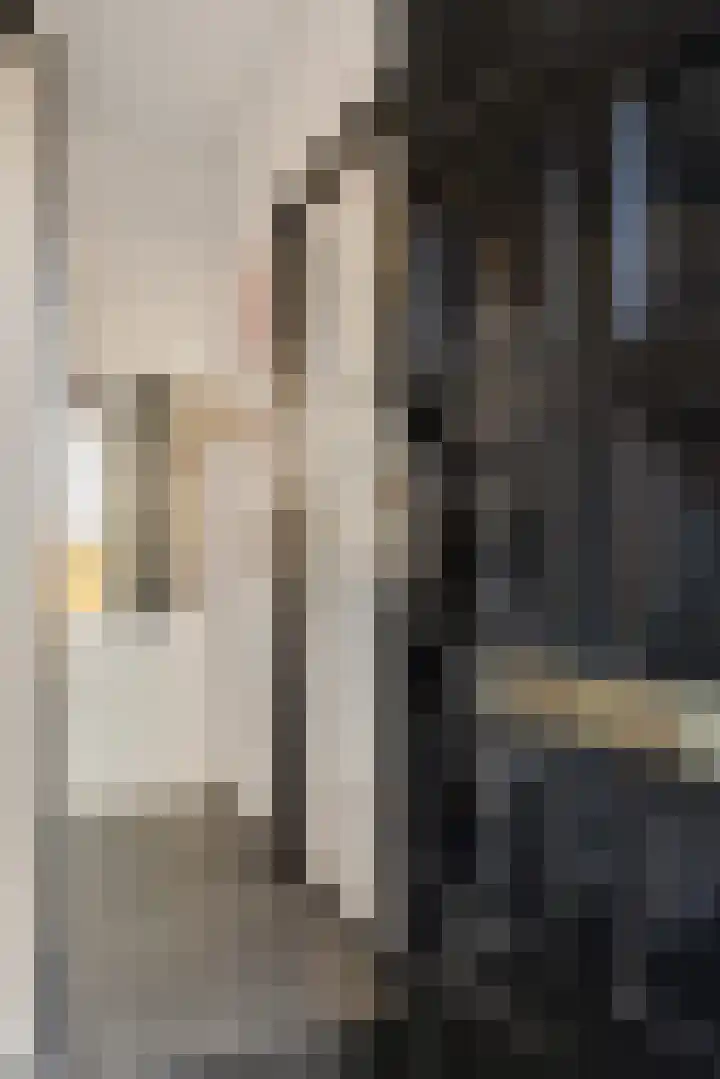 Heechfinne 6 Akkrum thumbnail 11