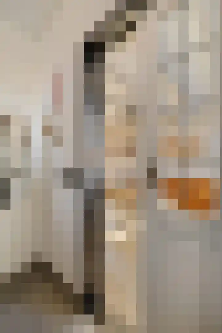 Heechfinne 6 Akkrum thumbnail 13
