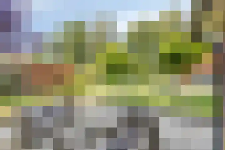 Heechfinne 6 Akkrum thumbnail 18