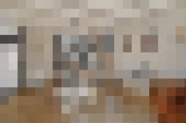 Heechfinne 6 Akkrum thumbnail 19