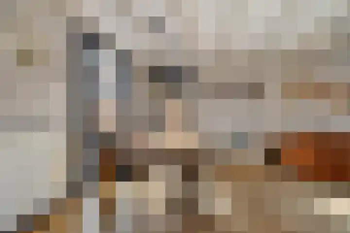 Heechfinne 6 Akkrum thumbnail 20