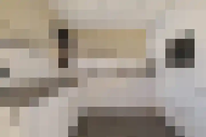 Heechfinne 6 Akkrum thumbnail 22