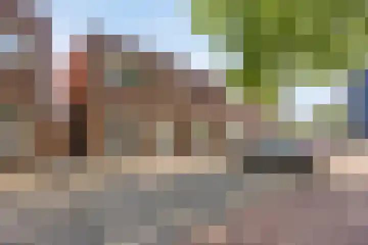 Heechfinne 6 Akkrum thumbnail 24